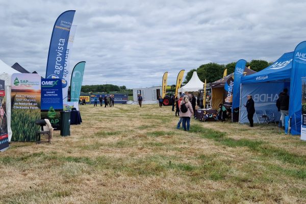 Transition Live Transition Live