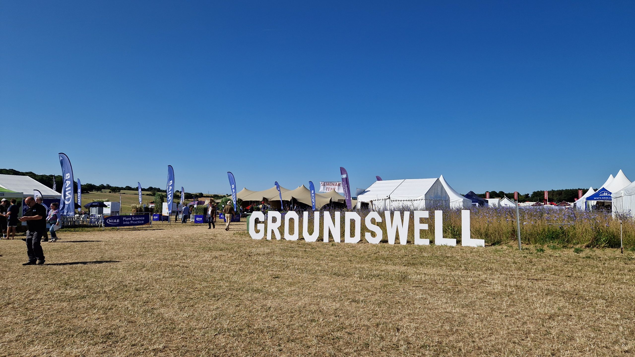 Large white letters spelling GROUNDSWELL