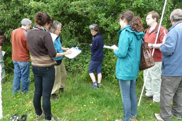 Assessing hedgerows for biodiversity Assessing hedgerows for biodiversity