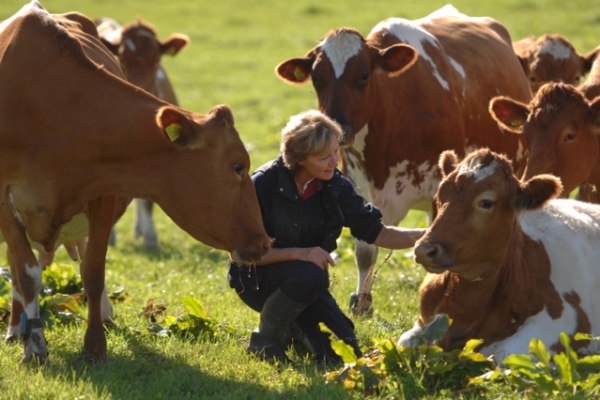 Christine Gosling Christine Gosling