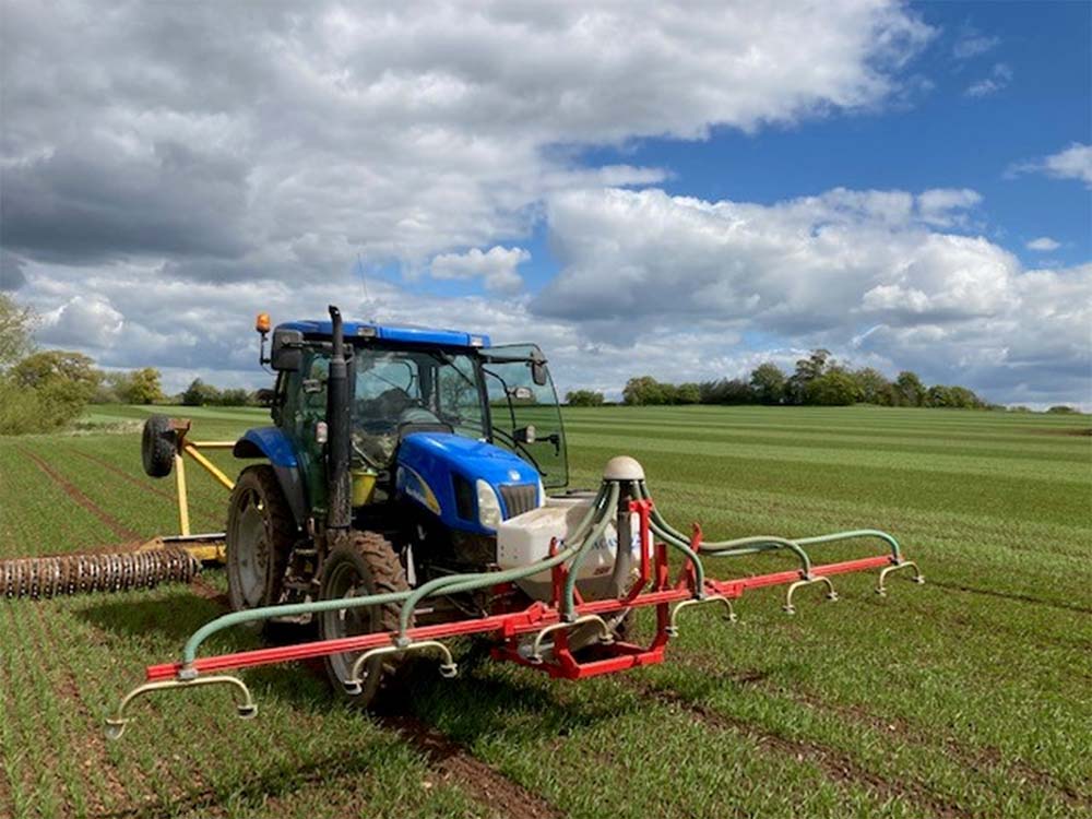 Mechanical living mulch management
