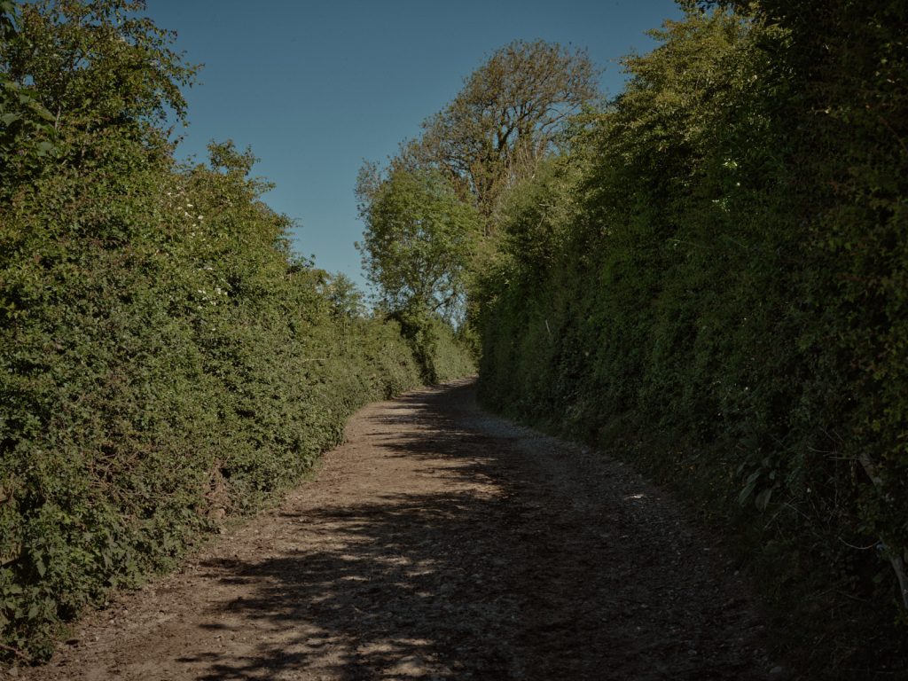Trees as lving barns on Strickley Farm