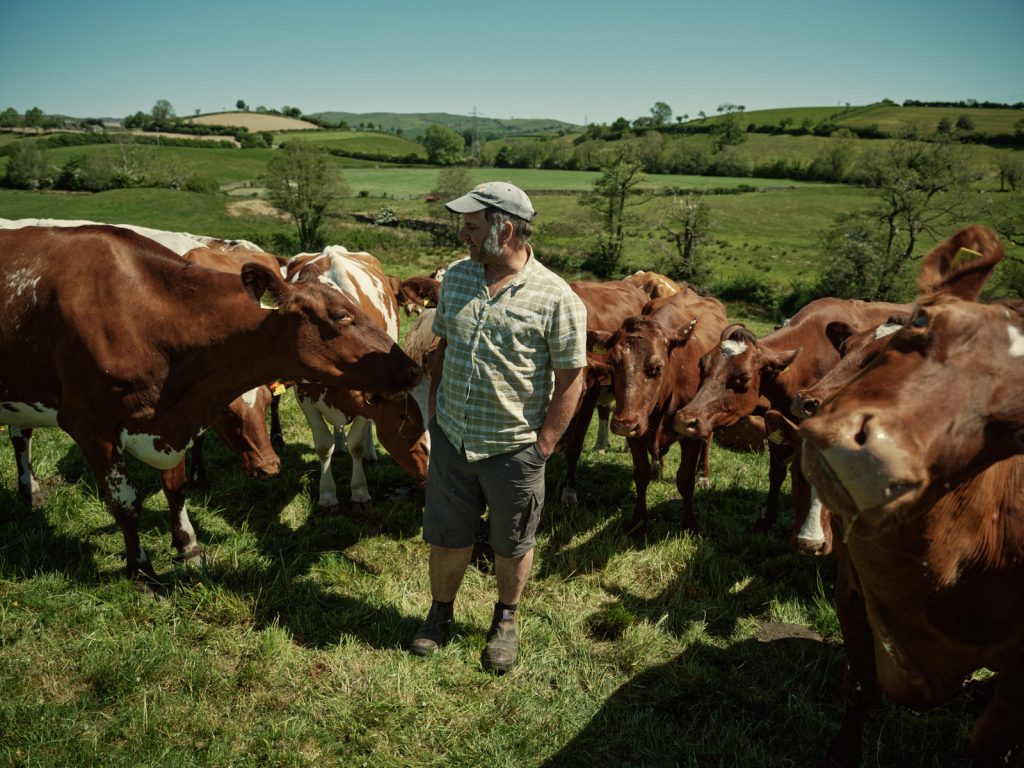 James Robinson with his dairy cows - Strickley Farm