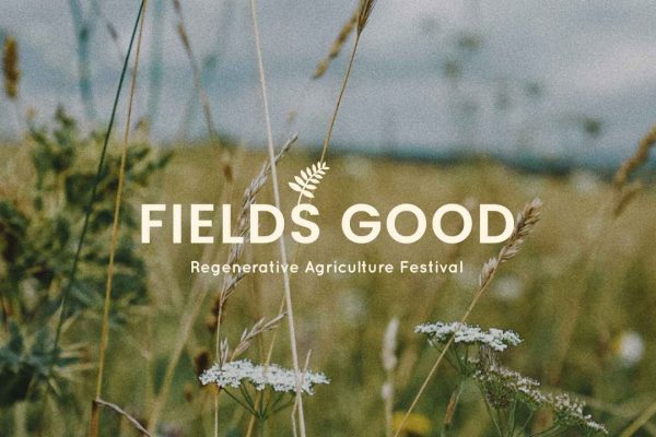 maxresdefault maxresdefault