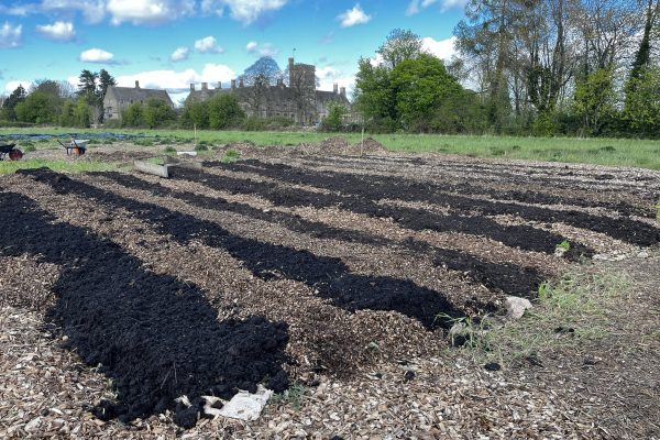 GREAT ZeroDig field at RAU GREAT ZeroDig field at RAU