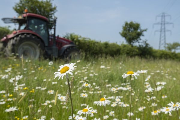 Nature Friendly Farming in Action. Taken by Ben Andrew (rspb-images.com). All Rights Reserved Nature Friendly Farming in Action. Taken by Ben Andrew (rspb-images.com). All Rights Reserved