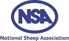 NSA NSA
