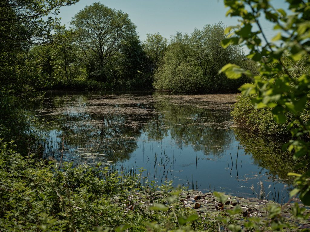 Pond at Strickley Farm