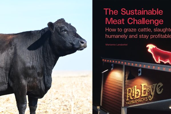 The Sustainable Meat Challenge The Sustainable Meat Challenge