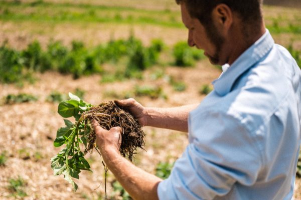 Tim May, Kingsclere Estate Tim May, Kingsclere Estate