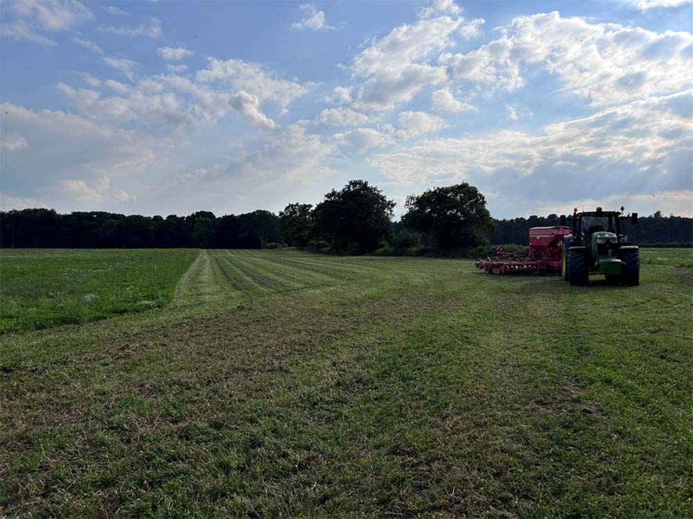 Novel technologies for living mulch establishment