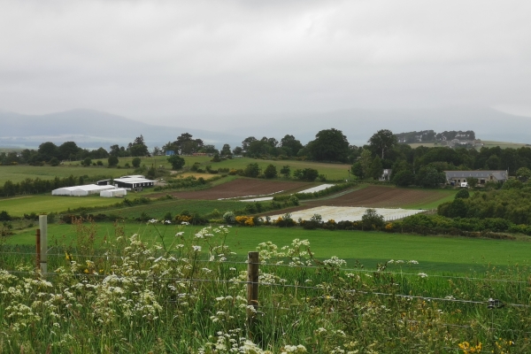 Veg field in context Veg field in context