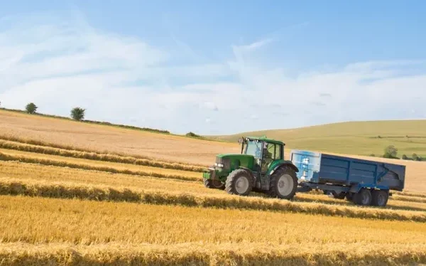 Roads to Resilience Project Roads to Resilience Project